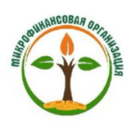 Центрально-Азиатская микрофинансовая организация